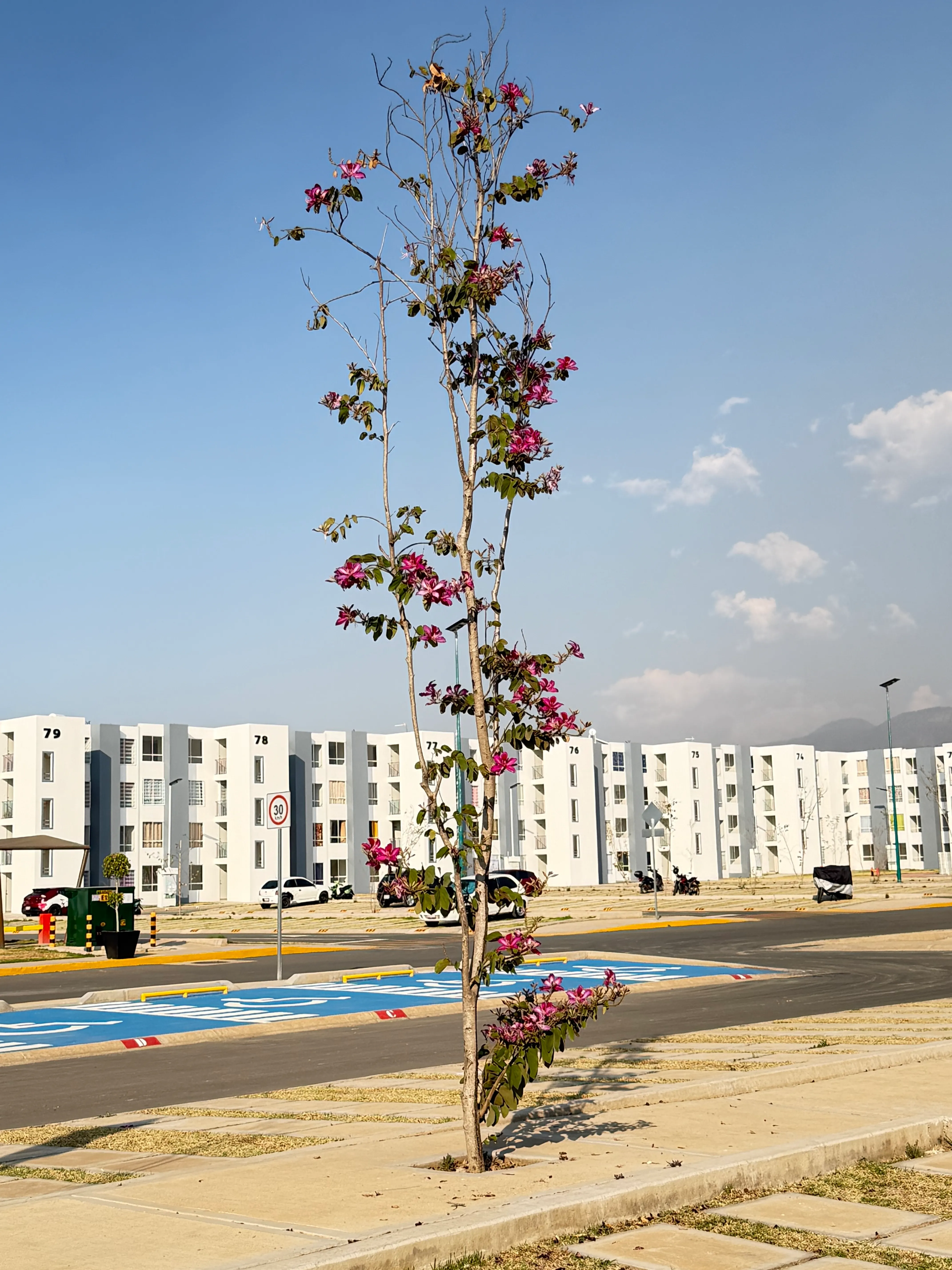 Depto. Modelo Granito vista 8